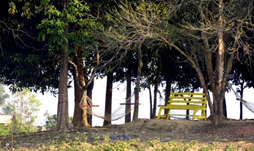 Photo Of Bench And Hammocks In The Park