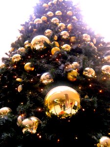 Low Angle Shot Of Christmas Tree With Gold-colored Bauble photo