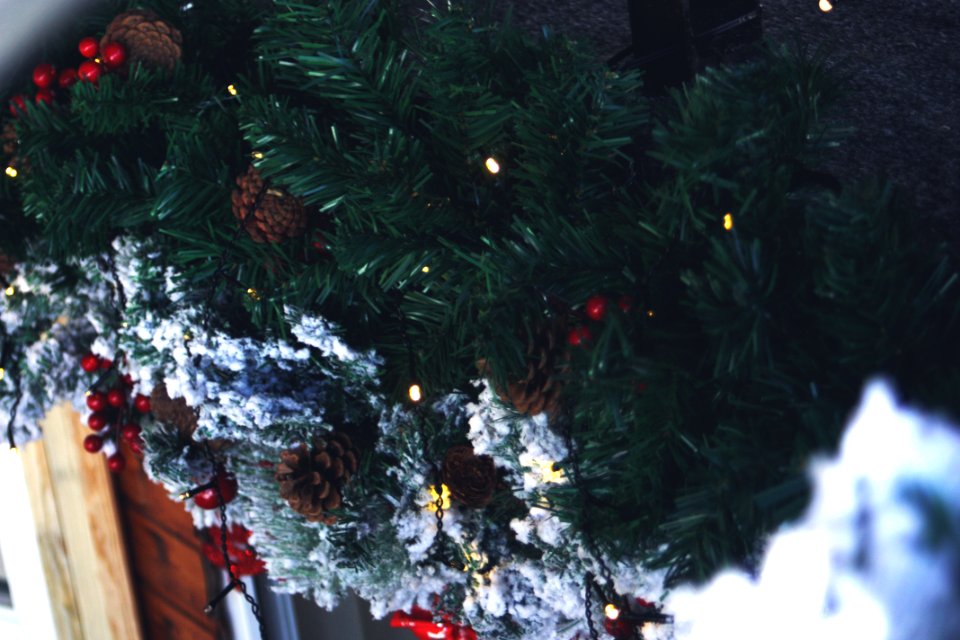 Green Christmas Tree