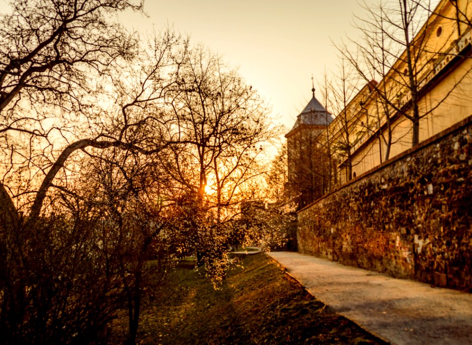 Castle Walls Surrounded By Trees