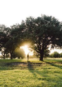Man Walking During Sunrise