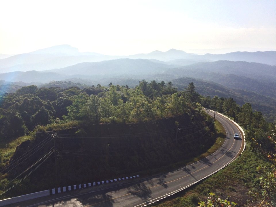 Aerial Photography Of Curved Concrete Road Beside Green Trees photo