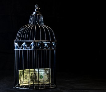 Black Steel Pet Cage With One Dollar