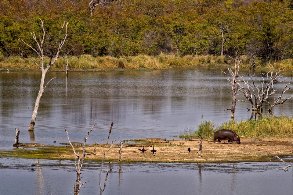 Scenic View Of The River