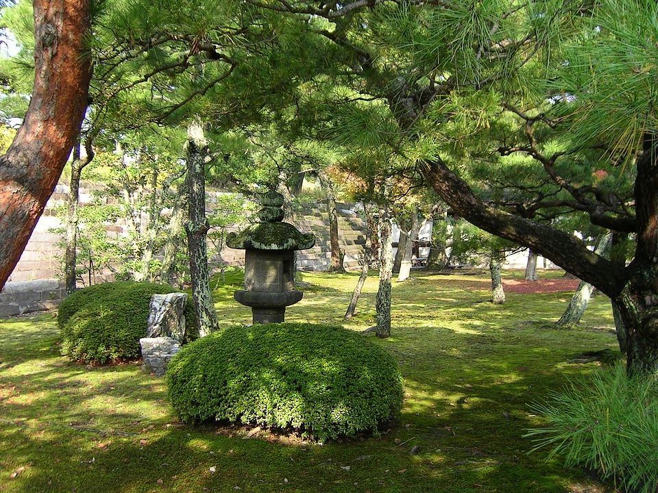Japan garden autumn