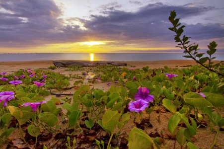 Beach Clouds Dawn