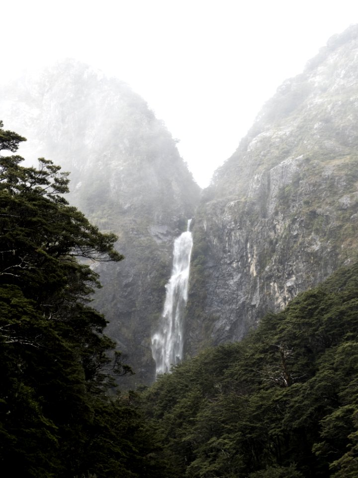 Cliff Foggy Forest