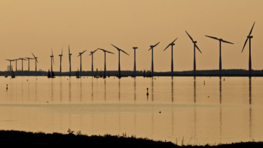 Dawn Electricity Energy