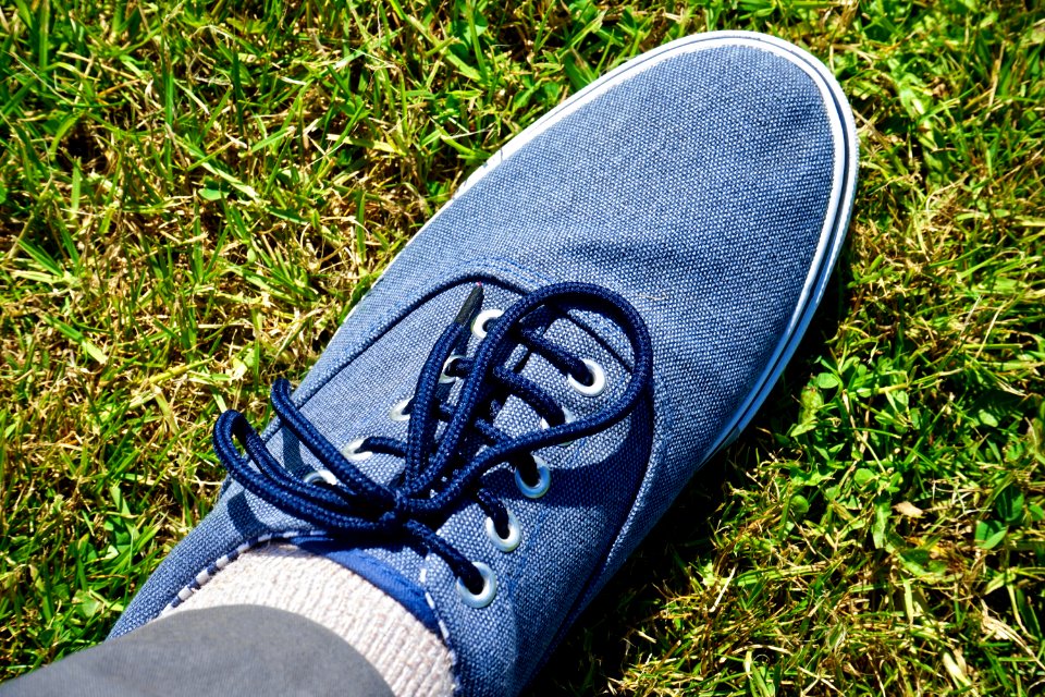 Blue Canvas Casual
