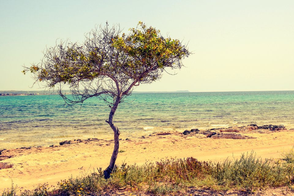 Beach Beautiful Cyprus