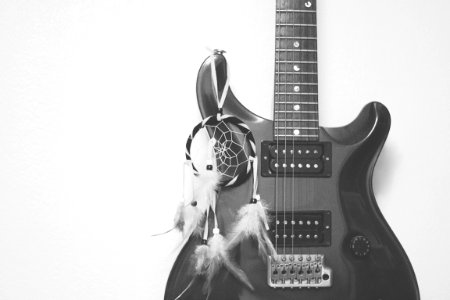 Black-and-white Bowed Stringed photo