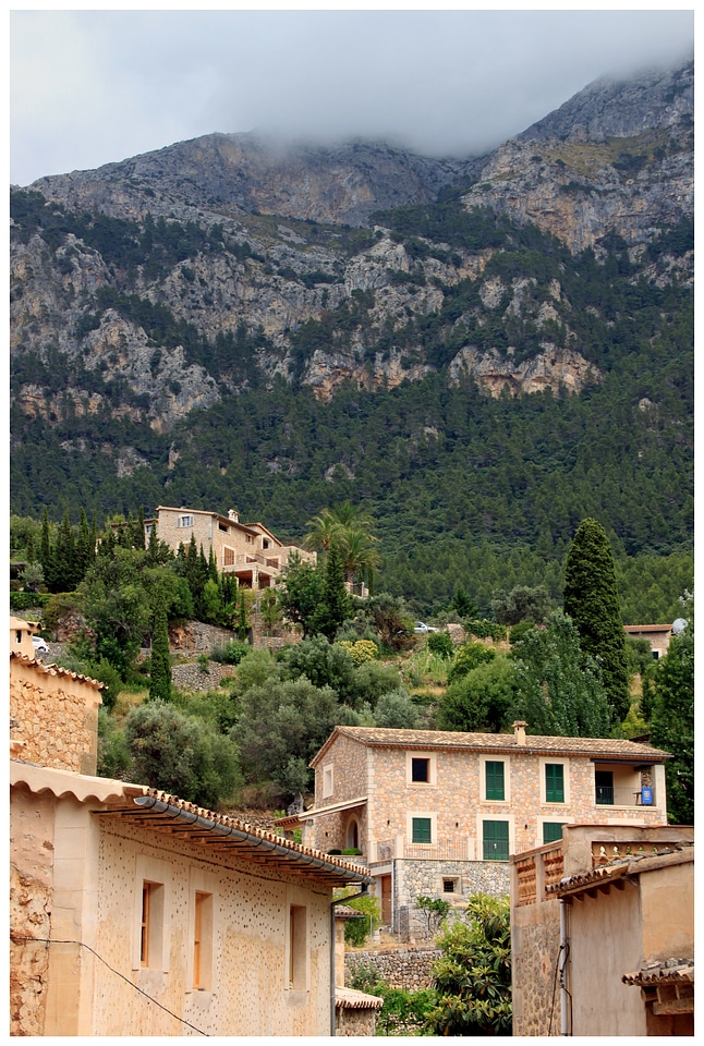 Spain mallorca nature