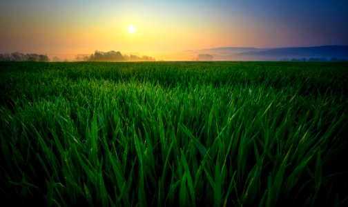 Agriculture Clouds Cropland