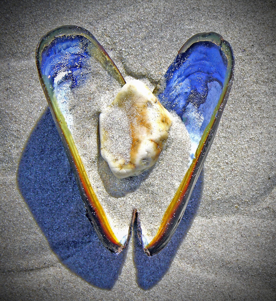 Sand beach mother of pearl
