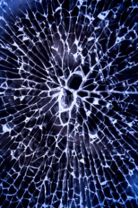 Abstract Art Break