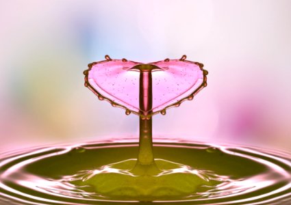 Close-up Drop Of