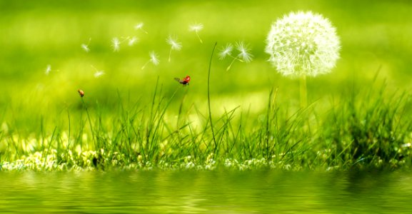 Background Image Beautiful