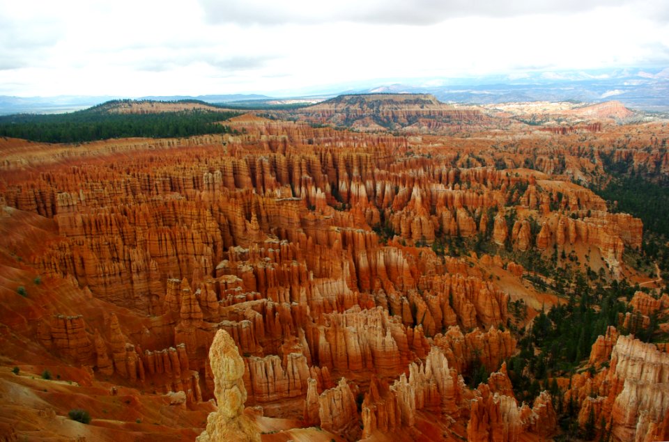 Adventure America Arid