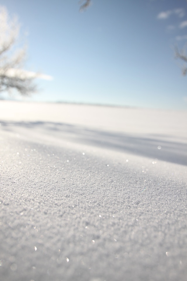Winter drifts mood