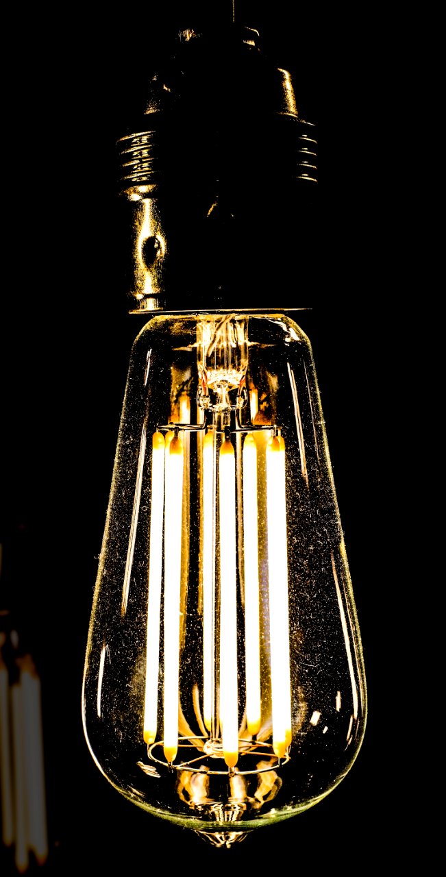 Bulb Close-up Electric