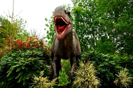 Dinosaur Evergreen Figure