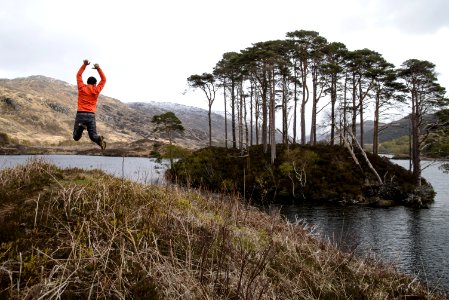 Man In Orange Long-sleeved Shirt Jumping On Lake Near Tall Trees At Daytime photo