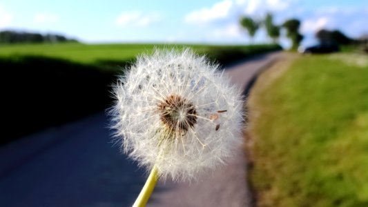 Beautiful Blow Bright