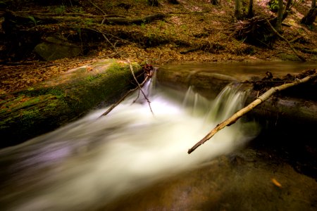 Creek Environment Fall