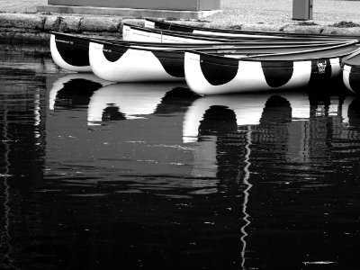 Black And White