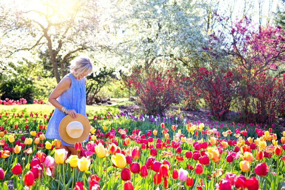 Beautiful Blooming Blossom
