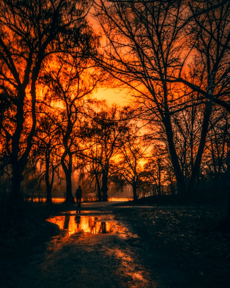 Backlit Beautiful Canada