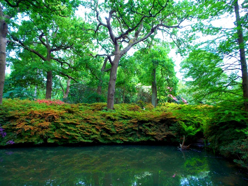 Countryside Daylight Environment