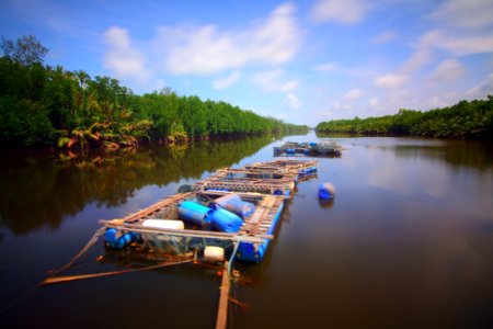 Bamboo Boat Clouds