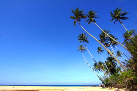 Beach Blue Sky