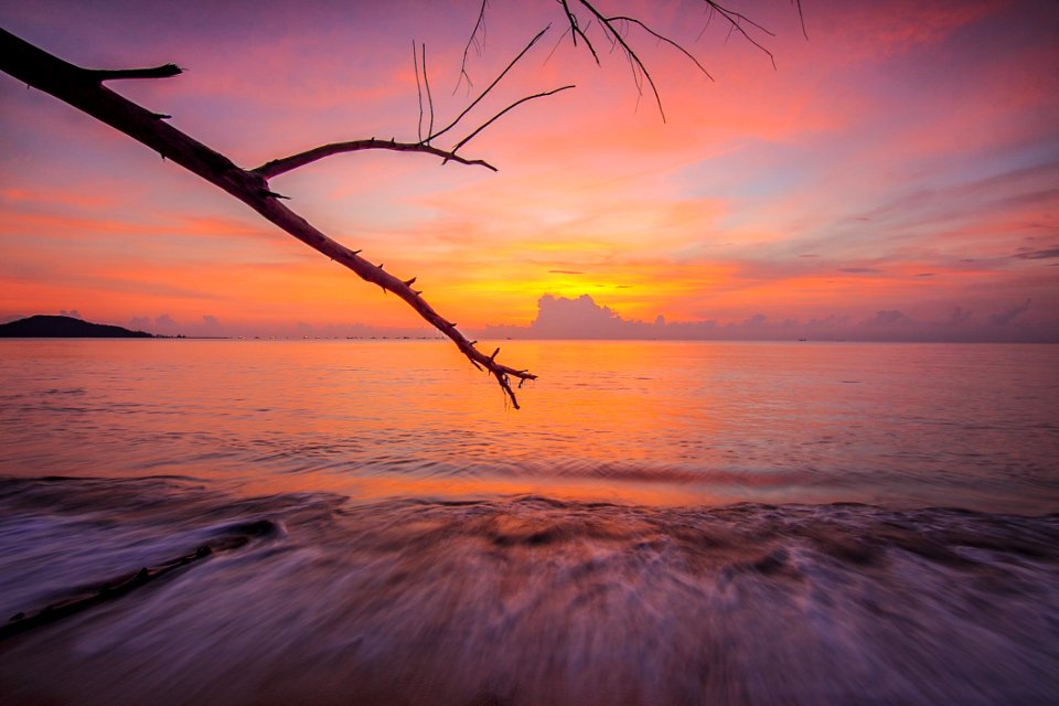 Branches Clouds Dawn