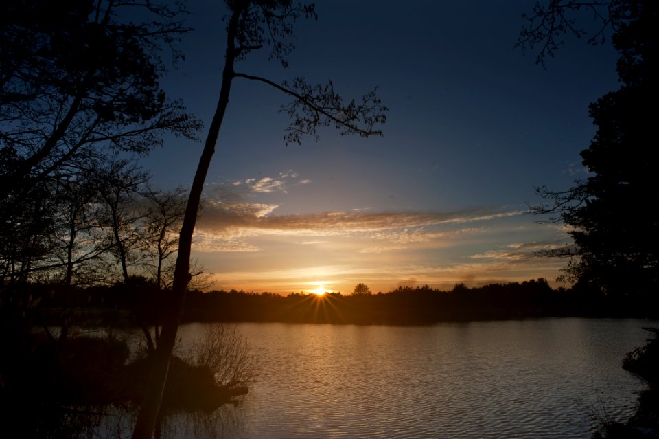 Backlit Bright Calm