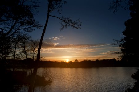 Backlit Bright Calm photo