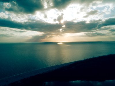 Beach Birds Eye