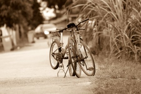 Action Bicycle Bikes