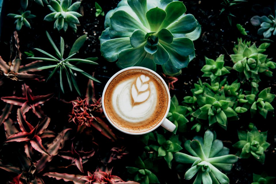 Beautiful Botanical Coffee