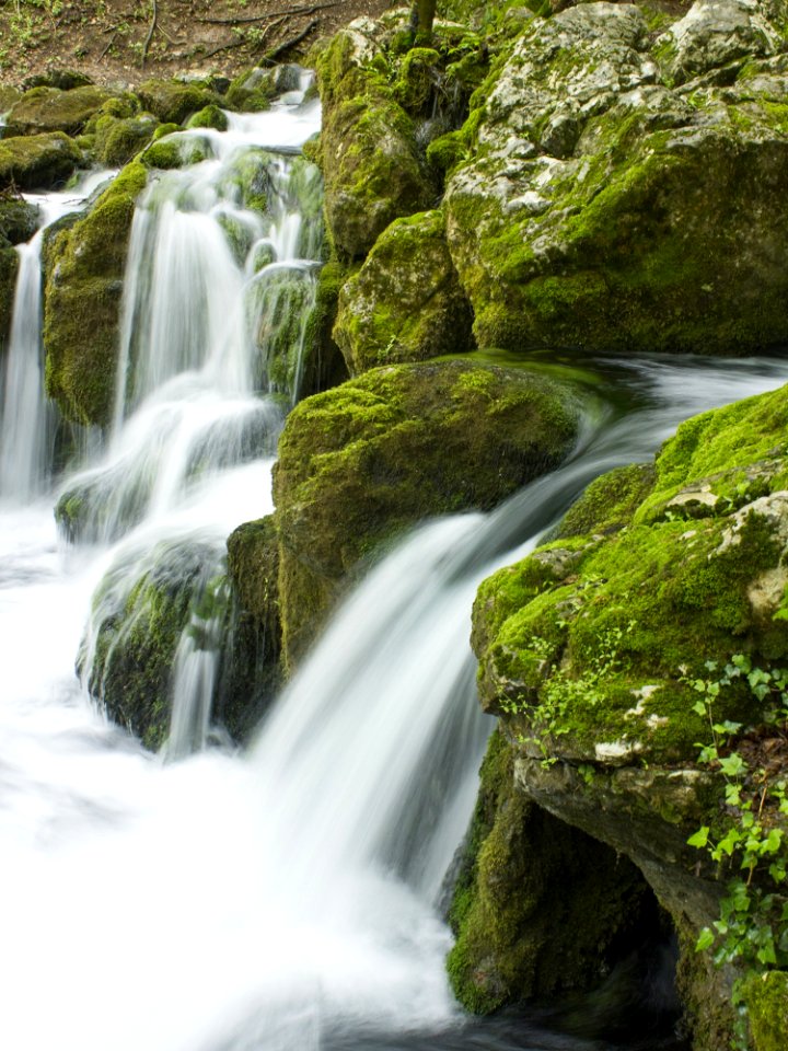 Environment Fall Flow