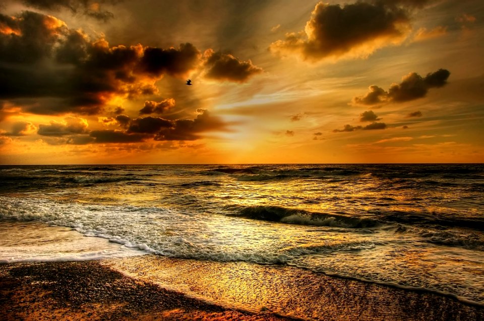 Beach Coast Dark