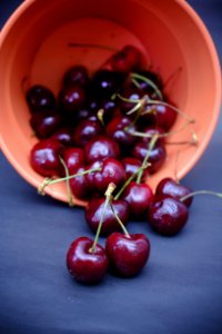 Bowl Cherries Cherry photo