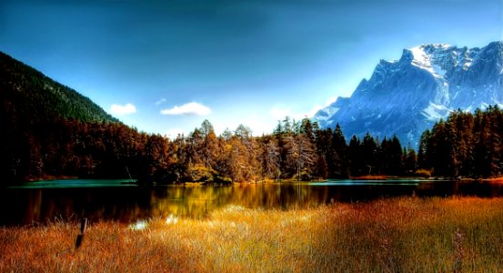 Alpine Conifer Dawn