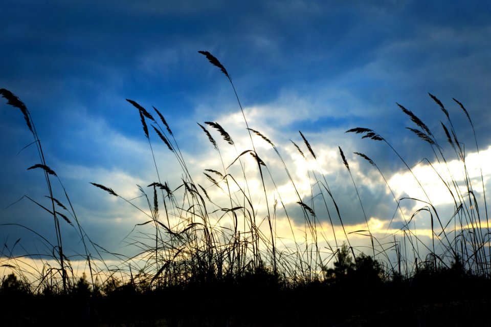 Clouds Daylight Field