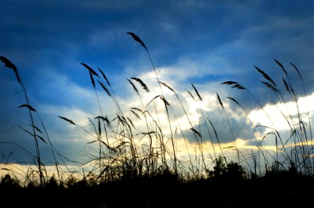 Clouds Daylight Field