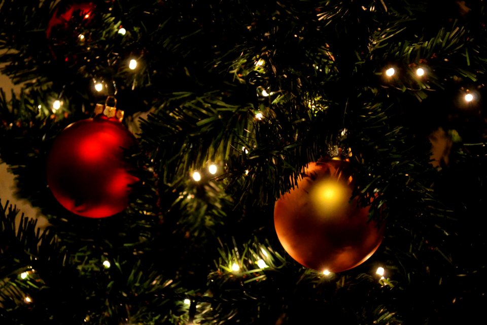 Advent Celebration Christmas