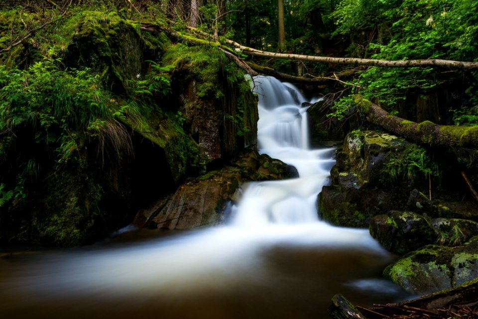 Cascade Creek Environment