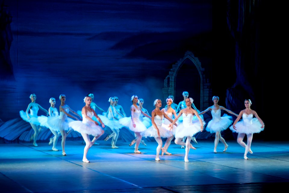 Adult Ballerina Ballet