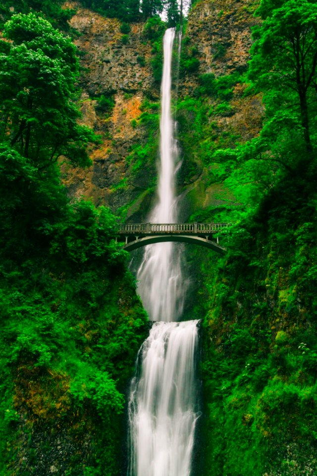Bridge Cascade Environment